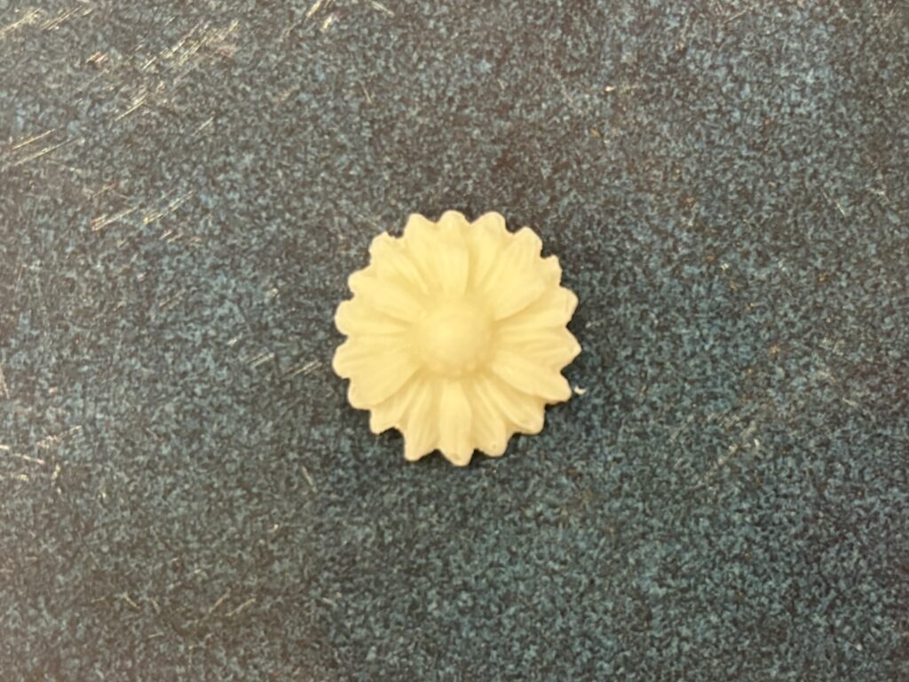 flower medium daisy 1
