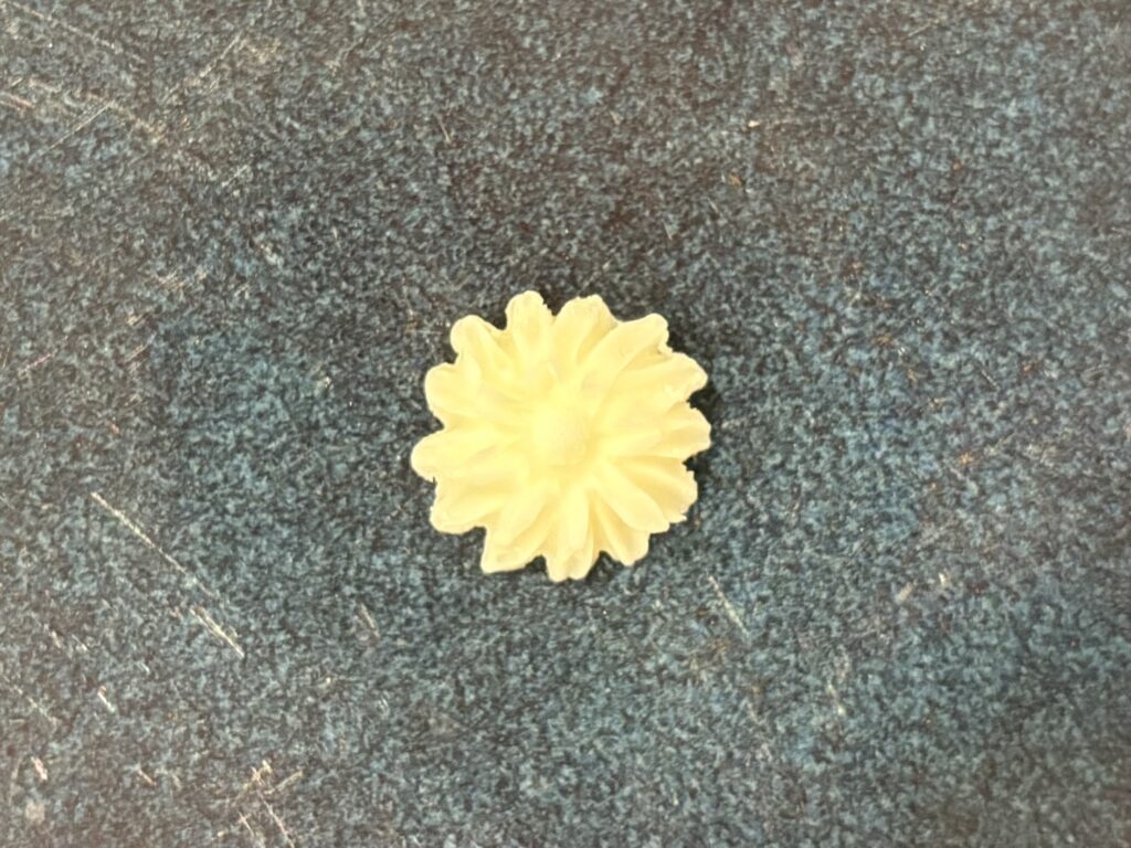 flower medium small daisy petals