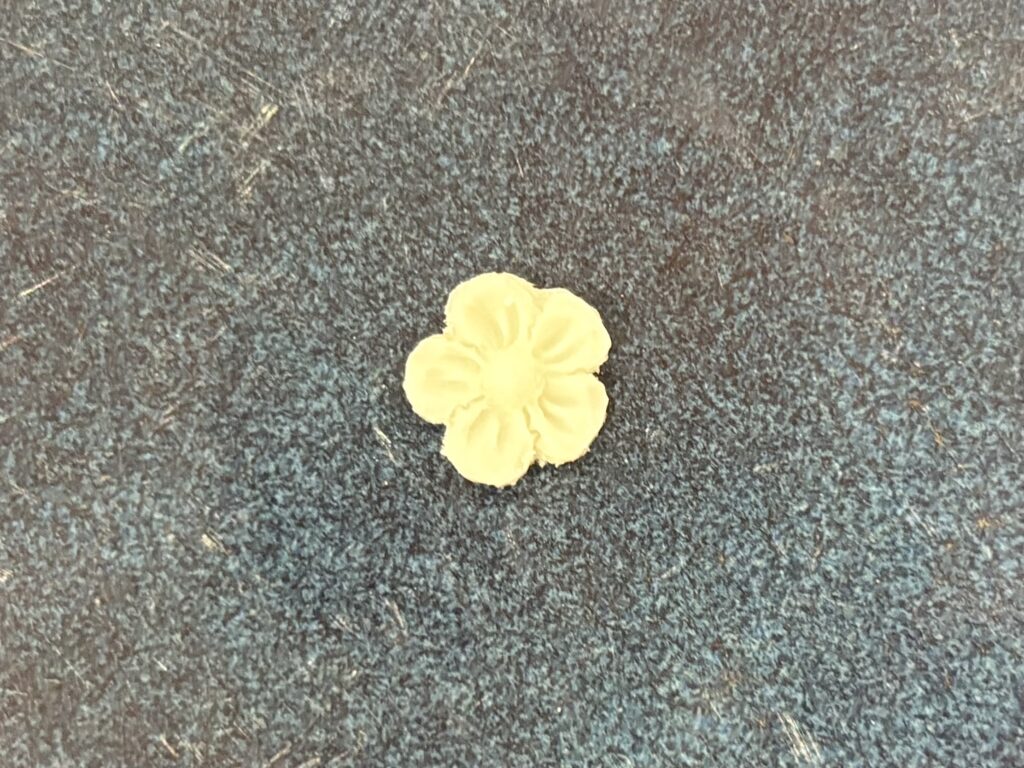 flower small 5 petals