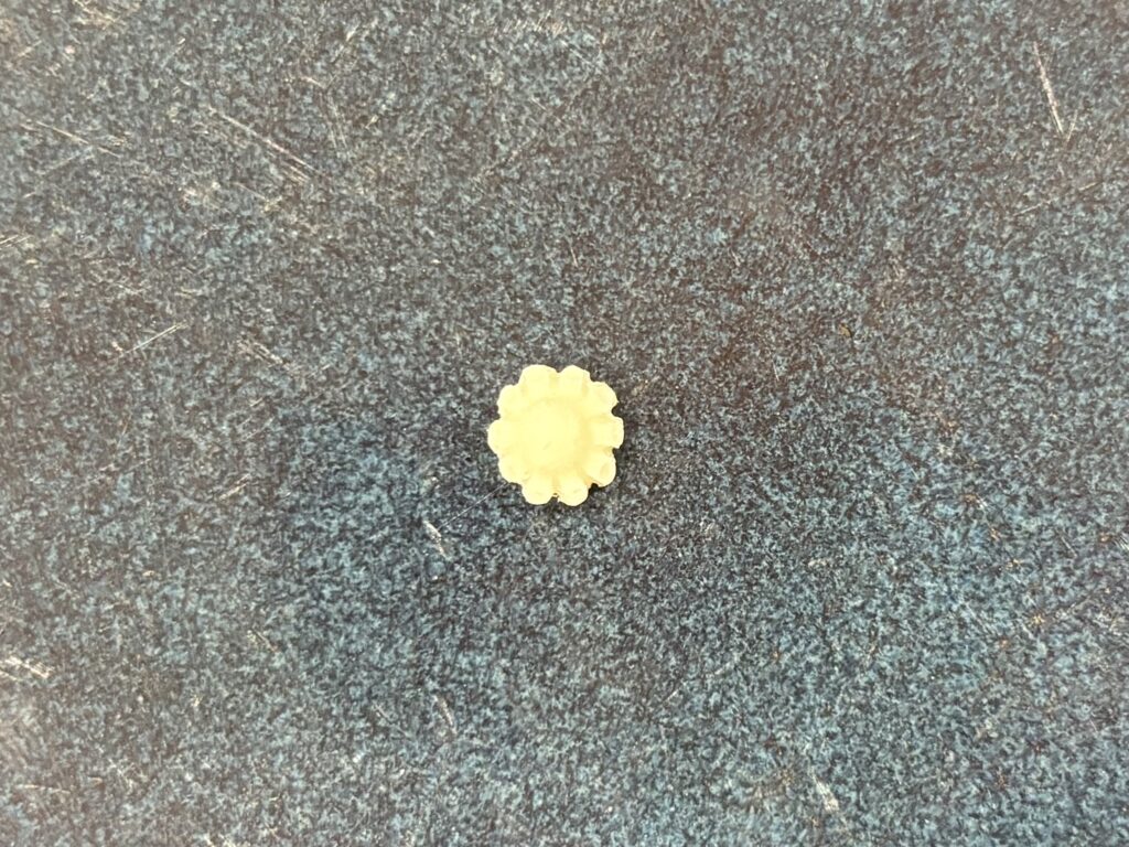 flower small many petals