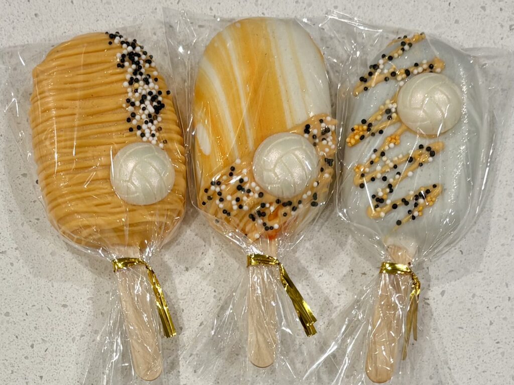 volleyball bc mix white balls small batch